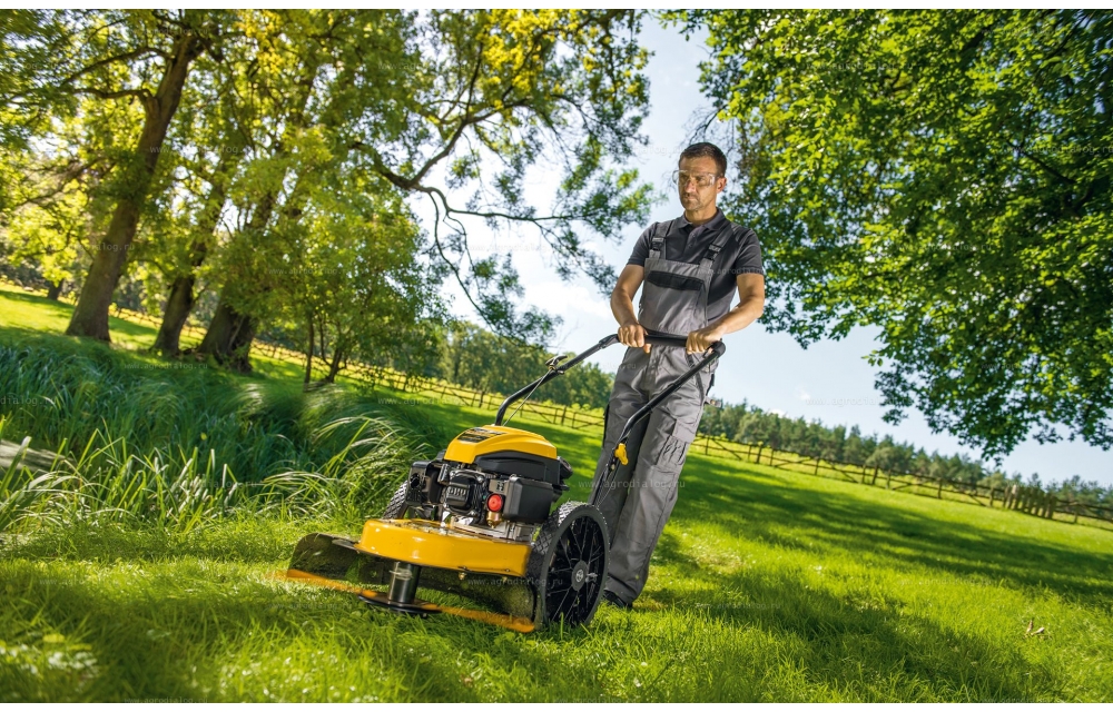 Новинка в линейке садовой техники Cub cadet – колесный триммер LC3 DP56.