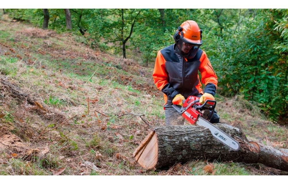 Профессиональные бензопилы Efco
