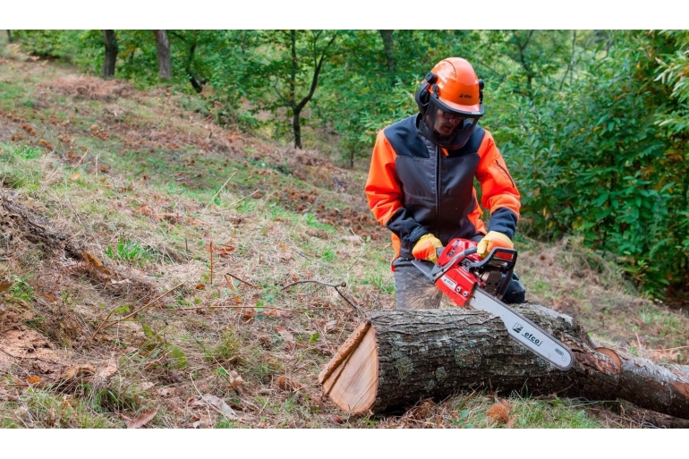Профессиональные бензопилы Efco