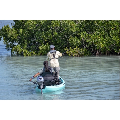 4-тактный лодочный мотор Honda BF 2,3 SCHH 4-тактный лодочный мотор Honda BF 2,3 SCHH