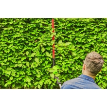 Аккумуляторные ножницы Greenworks GD60PHT61K8 Аккумуляторные ножницы Greenworks GD60PHT61K8