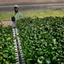 Аккумуляторные ножницы Greenworks PH662T Аккумуляторные ножницы Greenworks PH662T