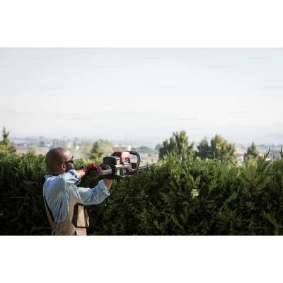 Аккумуляторные ножницы Honda HHH 36 AXB Аккумуляторные ножницы Honda HHH 36 AXB