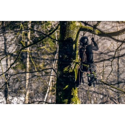 Аккумуляторная пила Greenworks GD40TCS Аккумуляторная пила Greenworks GD40TCS