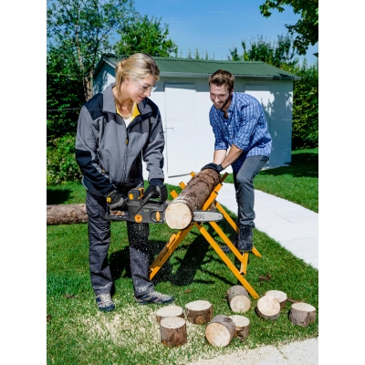 Аккумуляторная пила Stiga SC 48 AE Аккумуляторная пила Stiga SC 48 AE