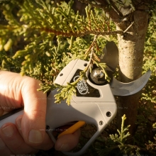 Аккумуляторный секатор Volpi Powercut KV390 Аккумуляторный секатор Volpi Powercut KV390