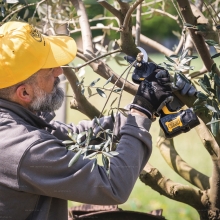 Аккумуляторный секатор Volpi Predator PV295 Аккумуляторный секатор Volpi Predator PV295