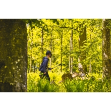 Аккумуляторный высоторез Greenworks GD60PST25K2 Аккумуляторный высоторез Greenworks GD60PST25K2