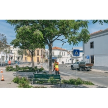 Аккумуляторный высоторез Husqvarna 530iPT5 Аккумуляторный высоторез Husqvarna 530iPT5