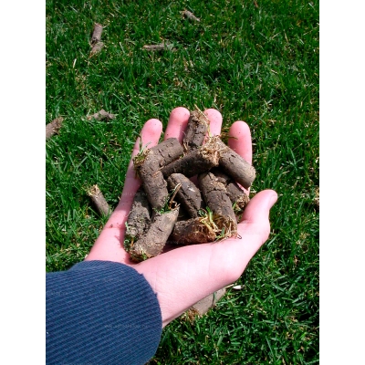 Профессиональный бензиновый аэратор для газона Billy Goat AE401H Профессиональный бензиновый аэратор для газона Billy Goat AE401H