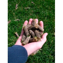 Профессиональный бензиновый аэратор для газона Billy Goat AE401V Профессиональный бензиновый аэратор для газона Billy Goat AE401V