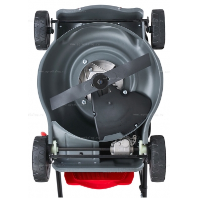 Бензиновая газонокосилка EVOline LMG 42 CS Бензиновая газонокосилка EVOline LMG 42 CS