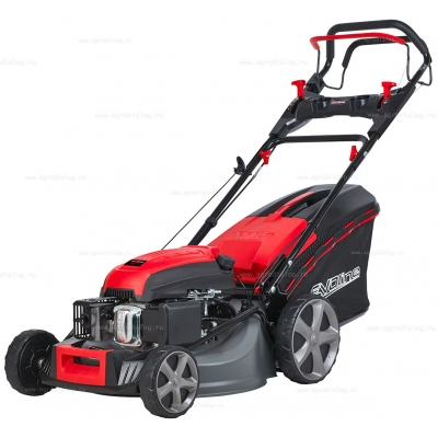 Бензиновая газонокосилка EVOline LMG 53 CV Бензиновая газонокосилка EVOline LMG 53 CV