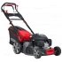 Бензиновая газонокосилка EVOline LMG 53 CVH Бензиновая газонокосилка EVOline LMG 53 CVH