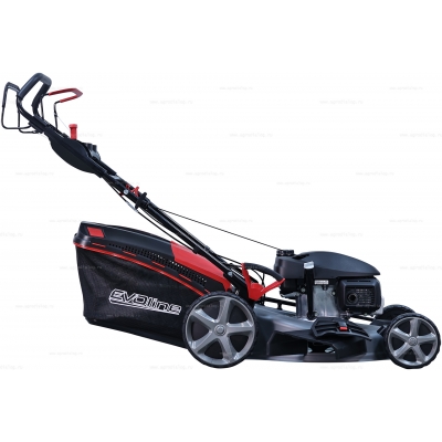 Бензиновая газонокосилка EVOline LMG 56 CVH Бензиновая газонокосилка EVOline LMG 56 CVH