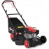 Бензиновая газонокосилка Expert BIS L460S Бензиновая газонокосилка Expert BIS L460S