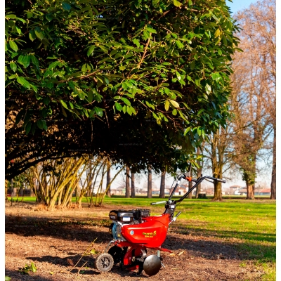 Бензиновый культиватор Eurosystems Euro 5 EVO 2+1 RM S/R B&S 950 Бензиновый культиватор Eurosystems Euro 5 EVO 2+1 RM S/R B&S 950