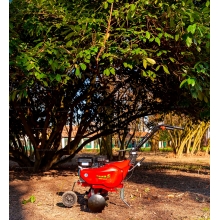 Бензиновый культиватор Eurosystems Euro 5 EVO 2+1 RM S/R B&S 950 Бензиновый культиватор Eurosystems Euro 5 EVO 2+1 RM S/R B&S 950