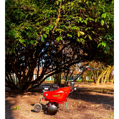 Бензиновый культиватор Eurosystems Euro 5 EVO 2+1 RM S/R B&S 950 Бензиновый культиватор Eurosystems Euro 5 EVO 2+1 RM S/R B&S 950