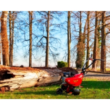 Бензиновый культиватор Eurosystems Euro 5 EVO 2+1 RM S/R B&S 950 Бензиновый культиватор Eurosystems Euro 5 EVO 2+1 RM S/R B&S 950