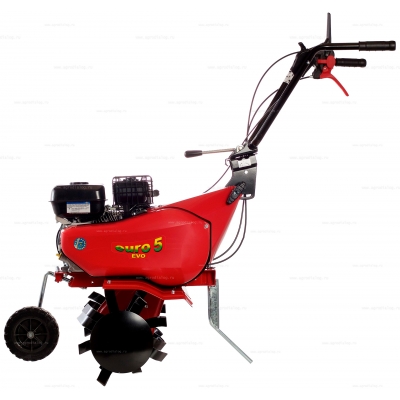Бензиновый культиватор Eurosystems Euro 5 EVO RM S/R B&S 950 Бензиновый культиватор Eurosystems Euro 5 EVO RM S/R B&S 950