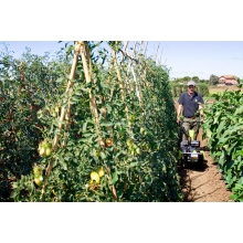 Мотоблок Grillo G 52 Мотоблок Grillo G 52