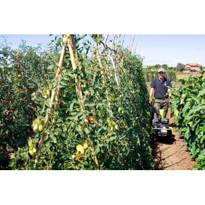 Мотоблок Grillo G 52 Мотоблок Grillo G 52