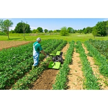 Мотоблок Grillo G 55 (Kohler) Мотоблок Grillo G 55 (Kohler)