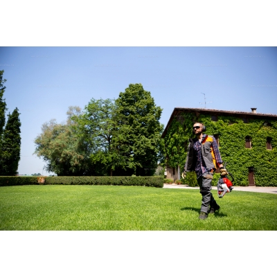 Бензиновые ножницы Efco TG 2470 P Бензиновые ножницы Efco TG 2470 P