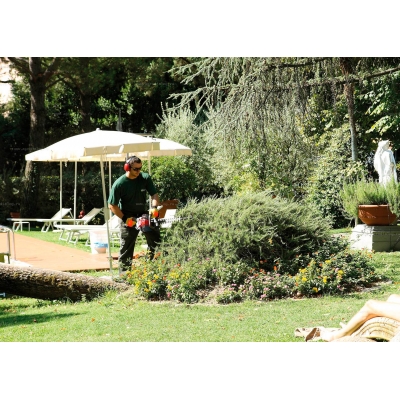 Бензиновые ножницы Efco TG 2650 XP Бензиновые ножницы Efco TG 2650 XP