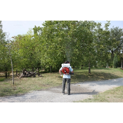 Бензиновый опрыскиватель Efco AT 800 Бензиновый опрыскиватель Efco AT 800