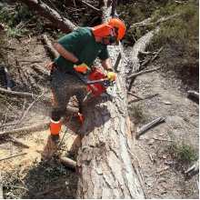 Бензопила Efco MT 6500 Бензопила Efco MT 6500