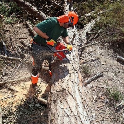 Бензопила Efco MT 6500 Бензопила Efco MT 6500