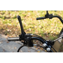 Подметальная машина Tielbuerger tk58 Pro Honda Подметальная машина Tielbuerger tk58 Pro Honda