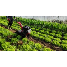 Роторный культиватор с грунтозацепами Eurosystems 907950000 Роторный культиватор с грунтозацепами Eurosystems 907950000