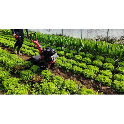 Роторный культиватор с грунтозацепами Eurosystems 907950000 Роторный культиватор с грунтозацепами Eurosystems 907950000