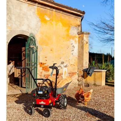 Оцинкованное корыто Eurosystems 905252300 (85 л.) Оцинкованное корыто Eurosystems 905252300 (85 л.)