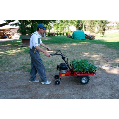 Платформа с контейнером Eurosystems 905252500 Платформа с контейнером Eurosystems 905252500