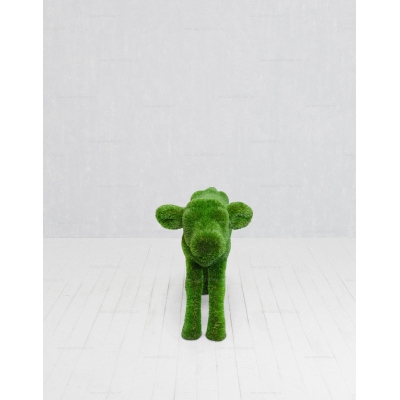 Садовая фигура из искусственной травы «Теленок» Садовая фигура из искусственной травы «Теленок»