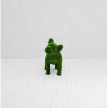 Садовые фигуры из искусственной травы «Французские бульдоги» Садовые фигуры из искусственной травы «Французские бульдоги»