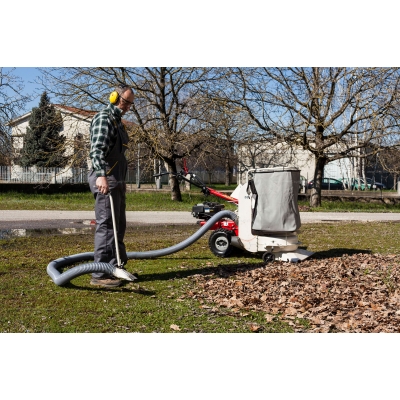 Профессиональный садовый пылесос Eurosystems P70 Loncin Профессиональный садовый пылесос Eurosystems P70 Loncin