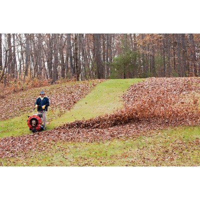 Профессиональная воздуходувка Billy Goat F1002SPV Профессиональная воздуходувка Billy Goat F1002SPV