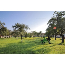 Коммунальный измельчитель веток Laski LS 95/CH Коммунальный измельчитель веток Laski LS 95/CH