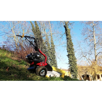 Косилка для высокой травы Eurosystems P70 Kohler Косилка для высокой травы Eurosystems P70 Kohler