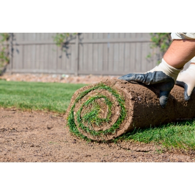 Подрезчик дерна Billy Goat SC181HEU Подрезчик дерна Billy Goat SC181HEU