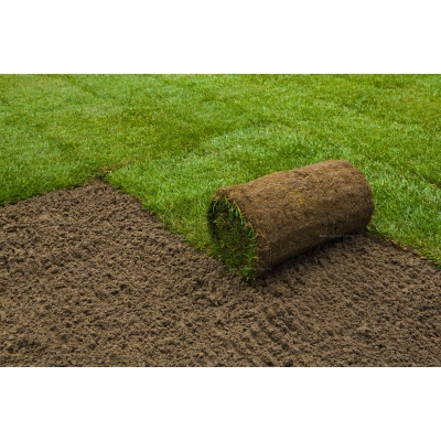 Подрезчик дерна Billy Goat SC181HGEU Подрезчик дерна Billy Goat SC181HGEU