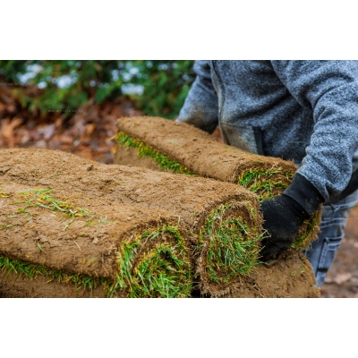 Подрезчик дерна Laski 300 RS3040 Подрезчик дерна Laski 300 RS3040