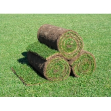 Подрезчик дерна Laski 400 RSS3040 Подрезчик дерна Laski 400 RSS3040