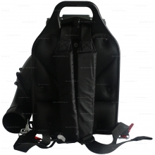 Садовая воздуходувка ранцевая EVOline BLG 80 BP Садовая воздуходувка ранцевая EVOline BLG 80 BP