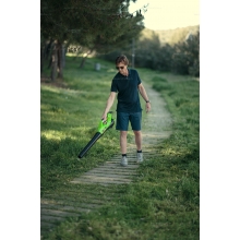 Садовая воздуходувка Greenworks G40ABK4 Садовая воздуходувка Greenworks G40ABK4